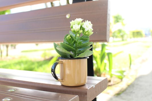 Caneca Esmaltada Marrom - EWEL