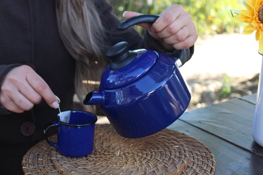 Chaleira Esmaltada - nº 14 - Azul - 1500 ml (EWEL)
